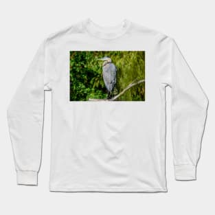 Great Blue Heron in the Trees Long Sleeve T-Shirt